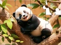                                                                     Jigsaw Puzzle: Panda On Tree קחשמ