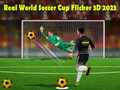                                                                       Real World Soccer Cup Flicker 3D 2023 ליּפש