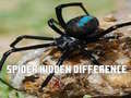                                                                     Spider Hidden Difference קחשמ