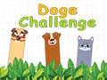                                                                     Doge Challenge קחשמ