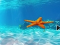                                                                     Escape From Underwater Starfish קחשמ