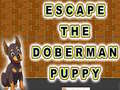                                                                       Escape The Doberman Puppy ליּפש