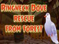                                                                     Ringneck Dove Rescue From Forest קחשמ