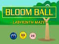                                                                       Bloomball Labyrinth Maze  ליּפש