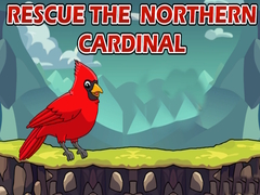                                                                       Rescue The Northern Cardinal ליּפש