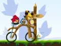                                                                       Angry Birds Bike Revenge ליּפש