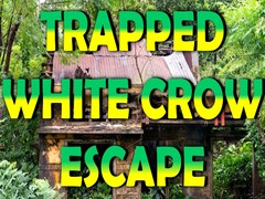                                                                       Trapped White Crow Escape ליּפש