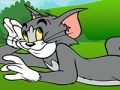                                                                       Tom and Jerry ATV Adventure ליּפש