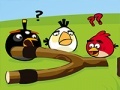                                                                     Angry Birds Go Crazy קחשמ