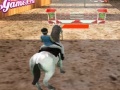                                                                       Horse Jumping 3D ליּפש