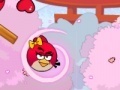                                                                     Angry Birds Lover קחשמ