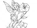                                                                       Coloring Tinker Bell -1 ליּפש