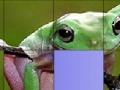                                                                     Frog Slide Puzzle קחשמ