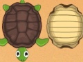                                                                     Guess the turtle קחשמ