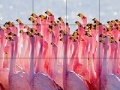                                                                     Flamingo family slide puzzle קחשמ