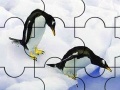                                                                     Two penguin in the pole puzzle קחשמ
