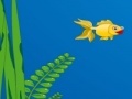                                                                     Gold fish escape קחשמ
