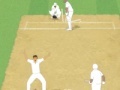                                                                       Cricket Umpire Decision ליּפש