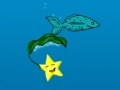                                                                     Star Fish קחשמ