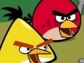                                                                     Memory - Angry Birds קחשמ