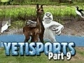                                                                     Yeti Sports: Part 9 - Final Spit קחשמ
