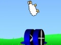                                                                     The Flying Sheep 1 קחשמ