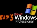                                                                     Mr Cat's Windows קחשמ