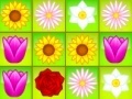                                                                     Flower Power Match קחשמ