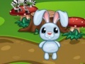                                                                     Easter Bunny Egg Rush קחשמ