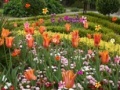                                                                     Flower Garden-Hidden Object קחשמ