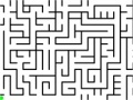                                                                     Daily Mouse Maze קחשמ