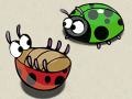                                                                     Ladybird  קחשמ
