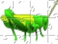                                                                     Grass Hopper Jigsaw קחשמ