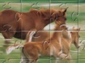                                                                     Horse Family Jigsaw Puzzle קחשמ