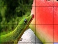                                                                     Hungry chameleons slide puzzle קחשמ