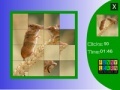                                                                     Two field mouse slide puzzle קחשמ