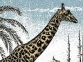                                                                     Giraffe Jigsaw Puzzle קחשמ