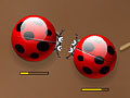                                                                     Spider Bugs קחשמ