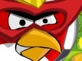                                                                     Angry Bird protect home קחשמ
