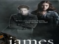                                                                     Twilight-James Jigsaw קחשמ