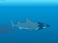                                                                       Medieval Shark ליּפש