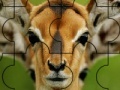                                                                     Confused deer puzzle קחשמ