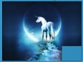                                                                     Fantasy Place Unicorn קחשמ