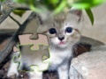                                                                     Jigsaw: Happy Kitty קחשמ