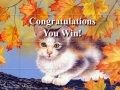                                                                     Art Kittens Puzzles 2 קחשמ