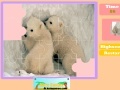                                                                     Twin Polar Bear קחשמ