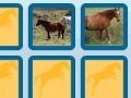                                                                     Memory with horses קחשמ