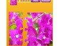                                                                     Bougainvillea Jigsaw קחשמ