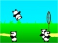                                                                     Panda Bounce קחשמ