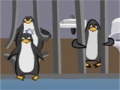                                                                     Milton The Pinguin: Zoo Escape קחשמ